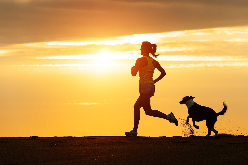 How to Start Running with Your Dog